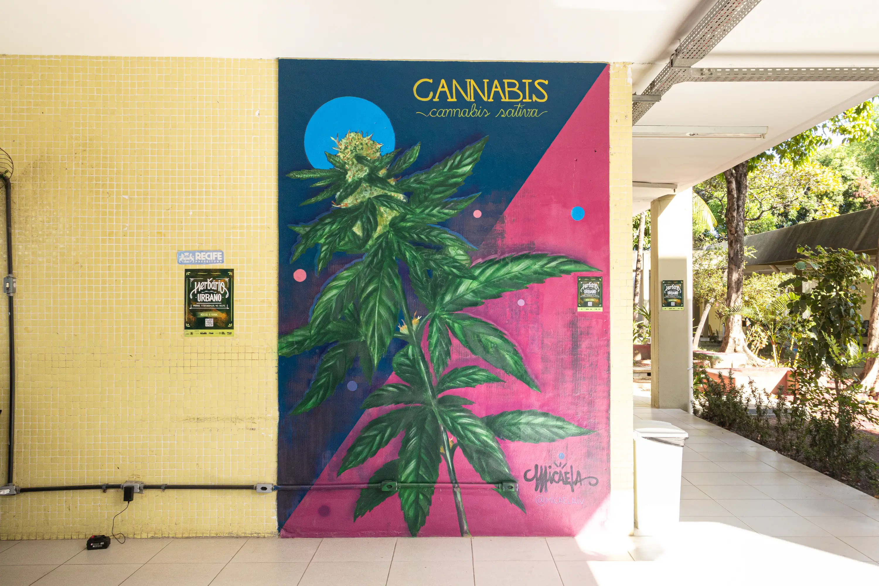 Foto do Mural representando a planta Cannabis pintado por Micaela Nunes