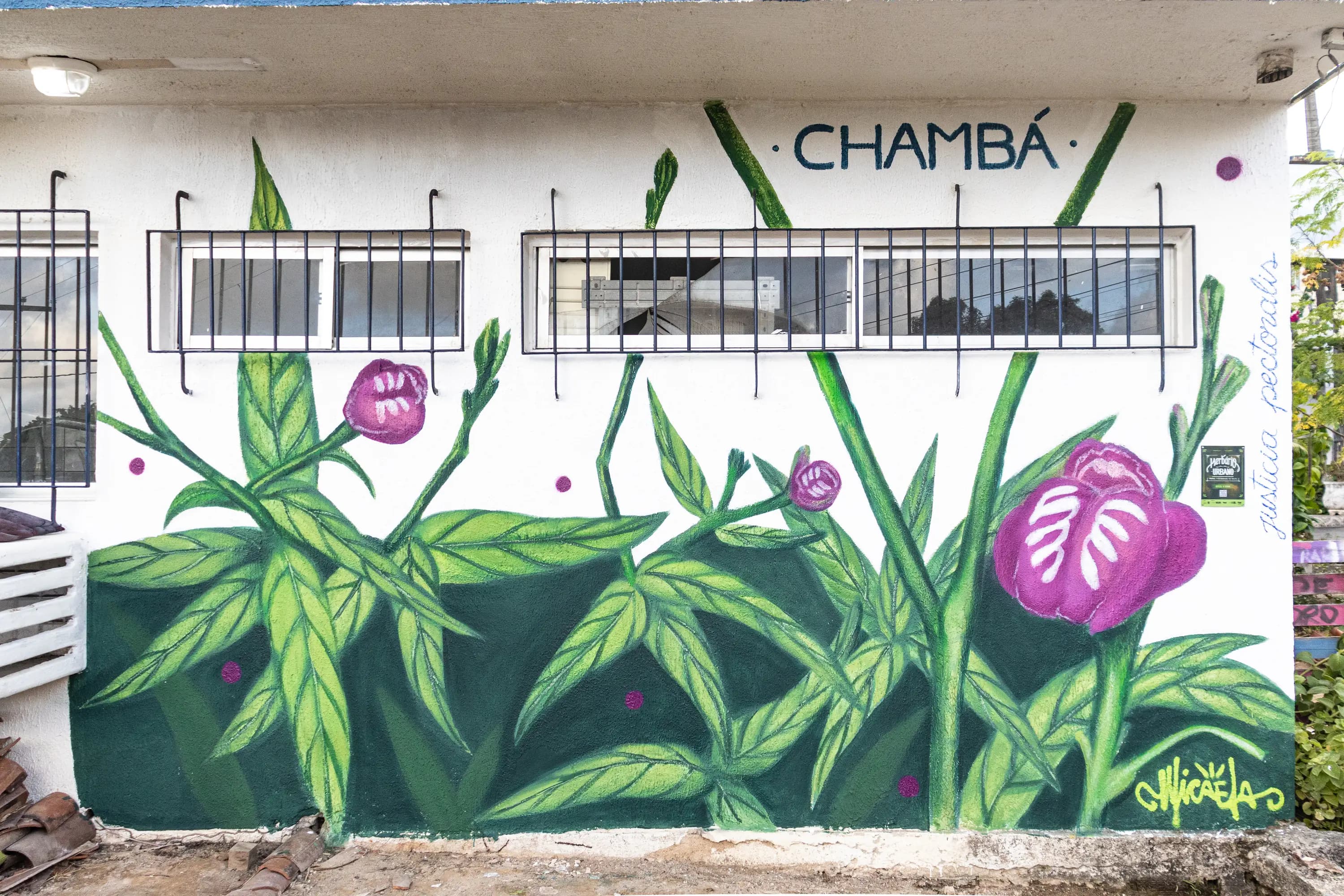 Foto do Mural representando a planta Chamba pintado por Micaela Nunes