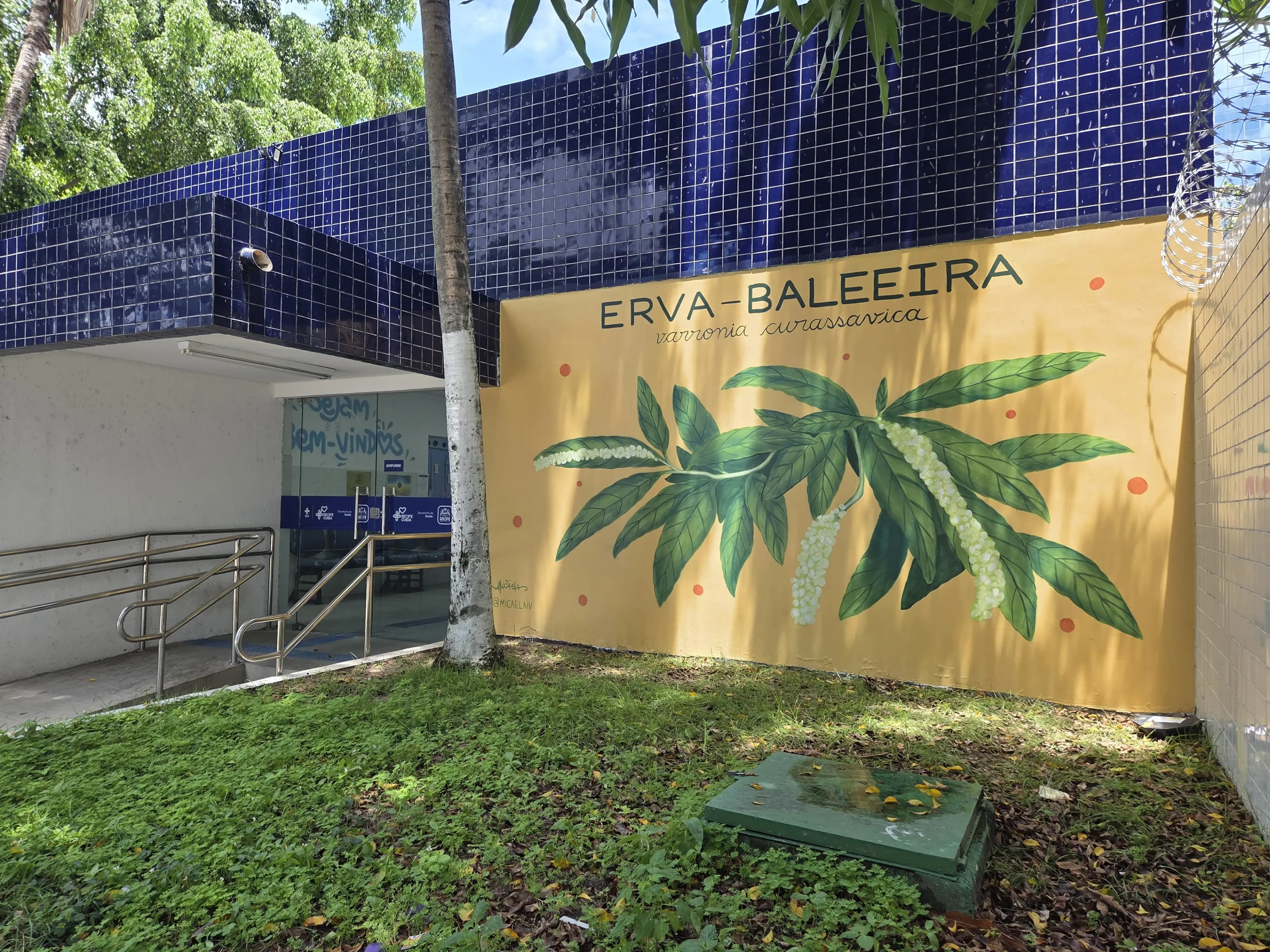 Foto do Mural representando a planta Erva-Baleeira pintado por Micaela Nunes