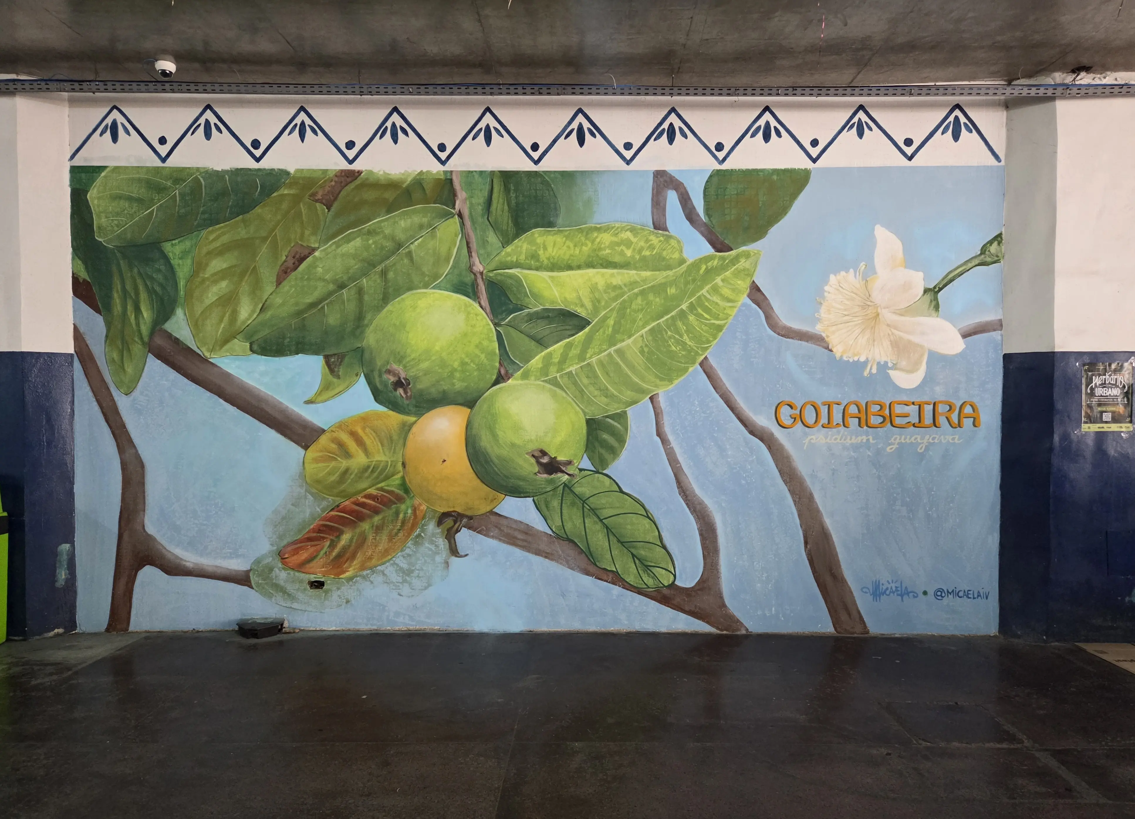 Foto do Mural representando a planta Goiabeira pintado por Micaela Nunes